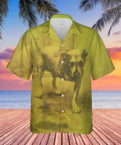 AICC Hawaii Shirt HP AICCHWHP200525 (11)