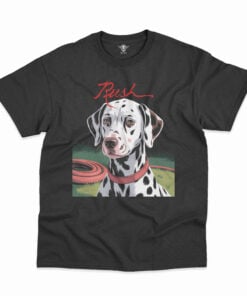 RSH Classic T-shirt DLL RSH2DBDLL0080825 (5)